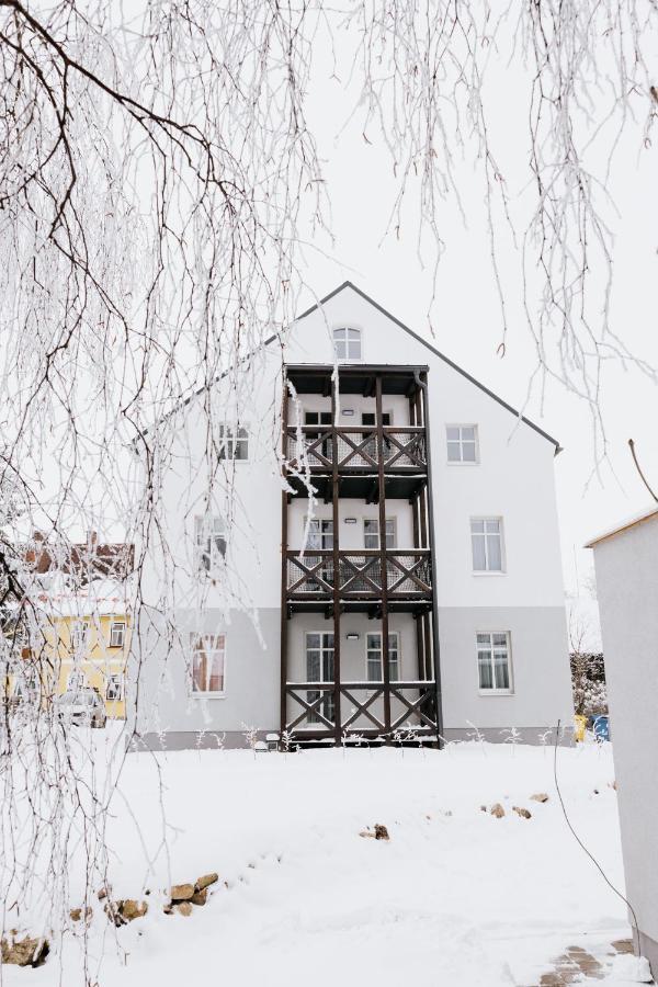 U Zlate Brizy Krusne Hory - Erzgebirge Apartment Horní Blatná Exterior foto