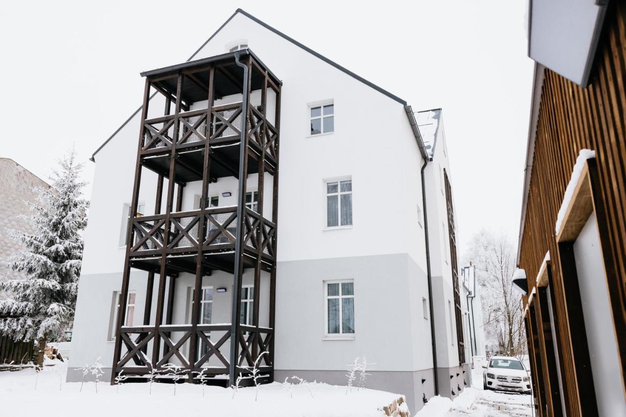 U Zlate Brizy Krusne Hory - Erzgebirge Apartment Horní Blatná Exterior foto