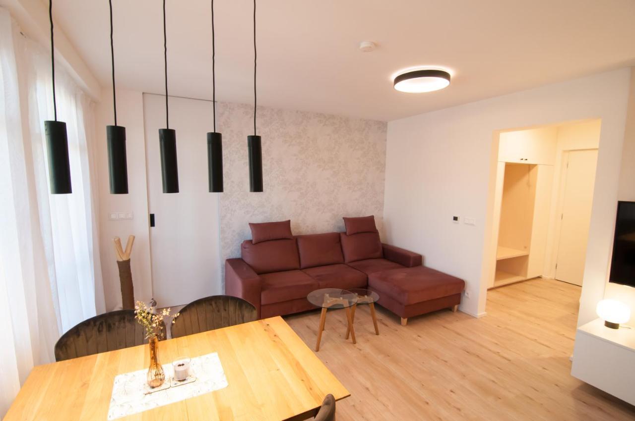 U Zlate Brizy Krusne Hory - Erzgebirge Apartment Horní Blatná Exterior foto