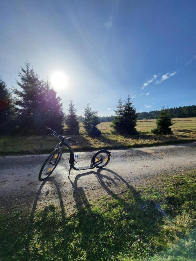 U Zlate Brizy Krusne Hory - Erzgebirge Apartment Horní Blatná Exterior foto