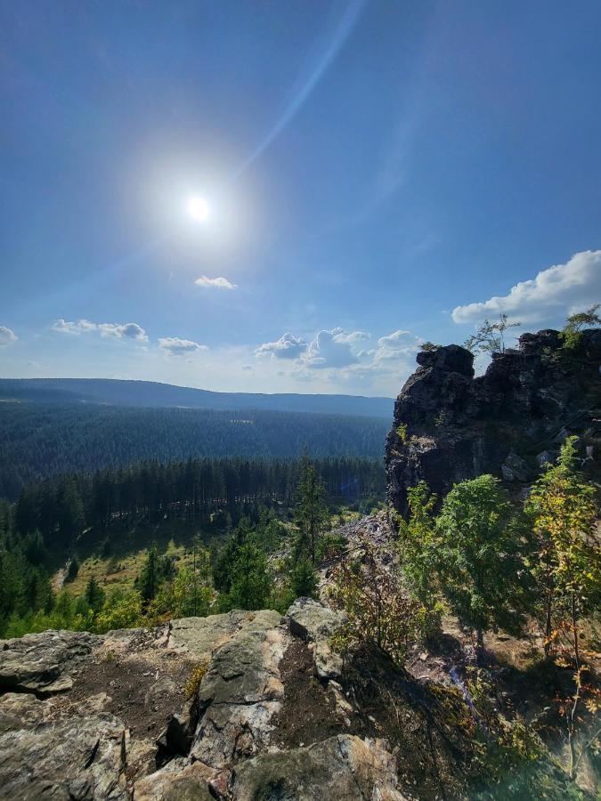 U Zlate Brizy Krusne Hory - Erzgebirge Apartment Horní Blatná Exterior foto
