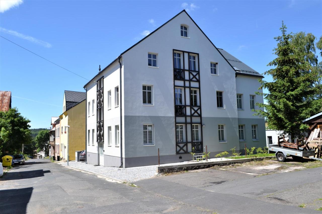 U Zlate Brizy Krusne Hory - Erzgebirge Apartment Horní Blatná Exterior foto