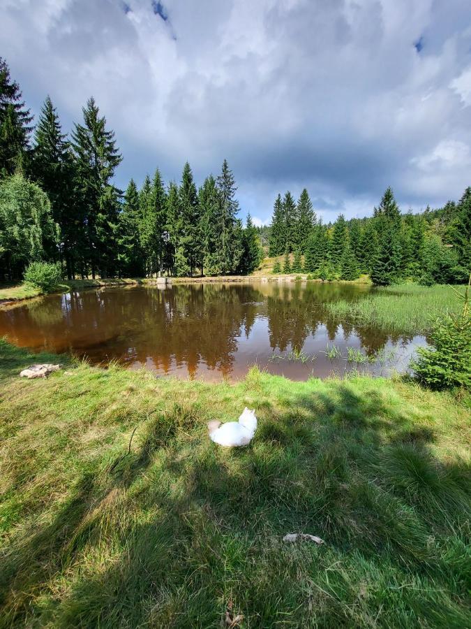 U Zlate Brizy Krusne Hory - Erzgebirge Apartment Horní Blatná Exterior foto